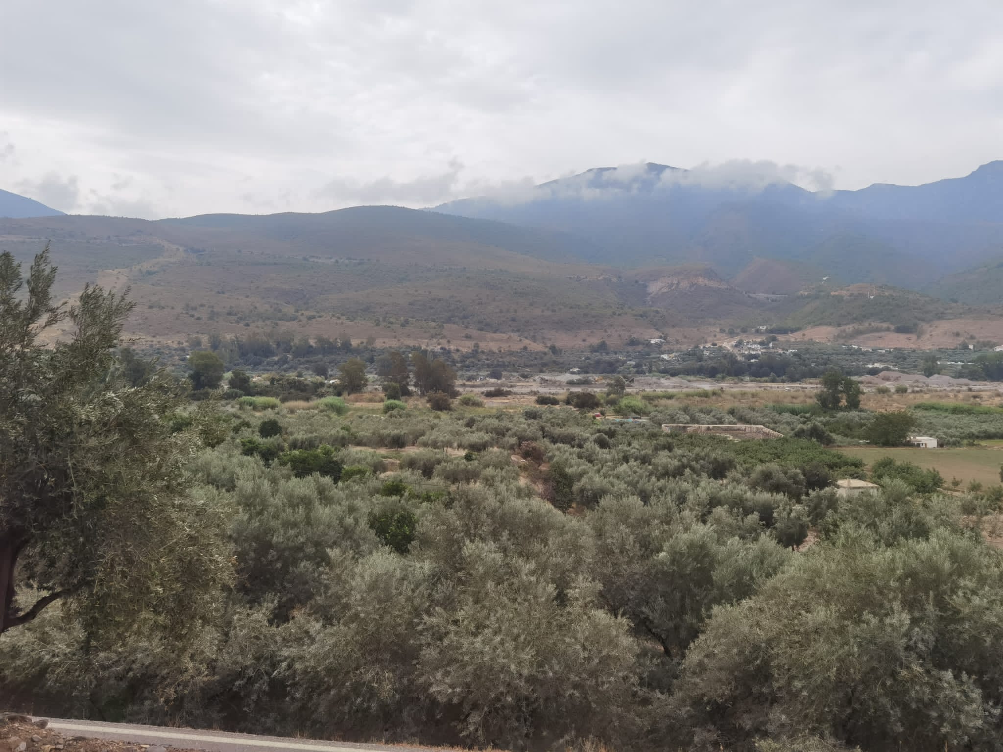 Finca La Ventana Alpujarra Life