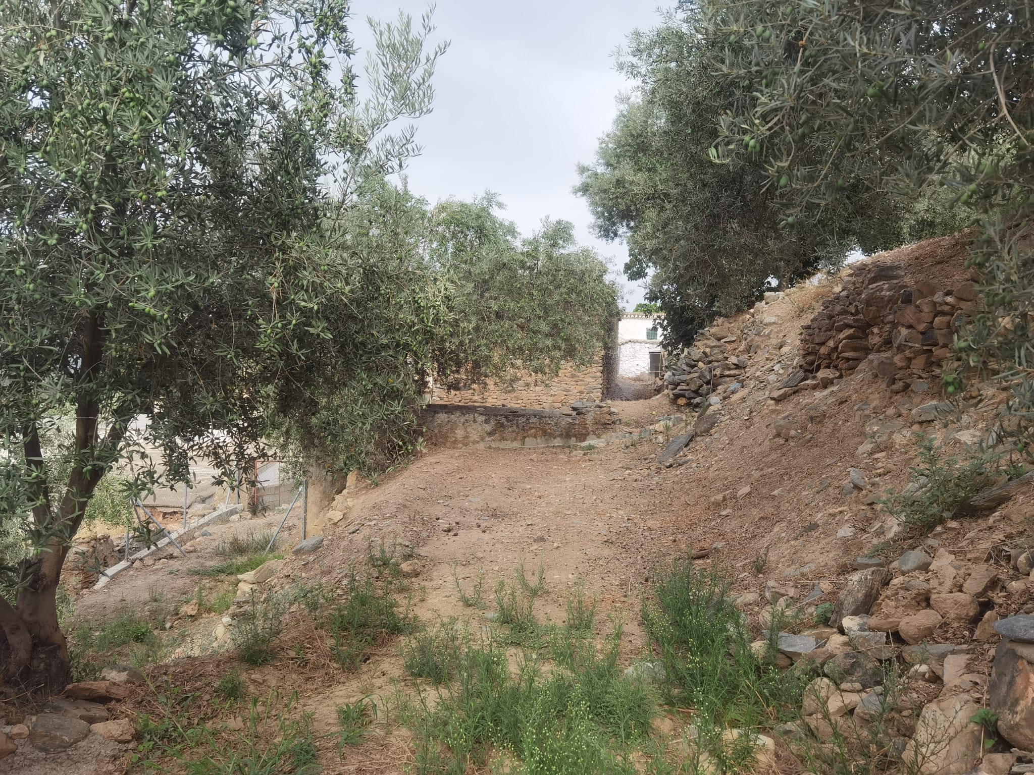 Finca La Ventana Alpujarra Life