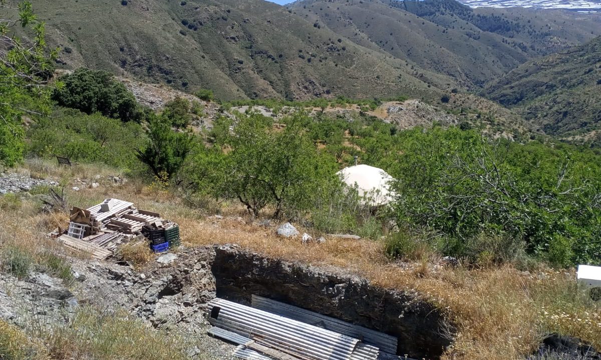 IMG-20250615-WA0009