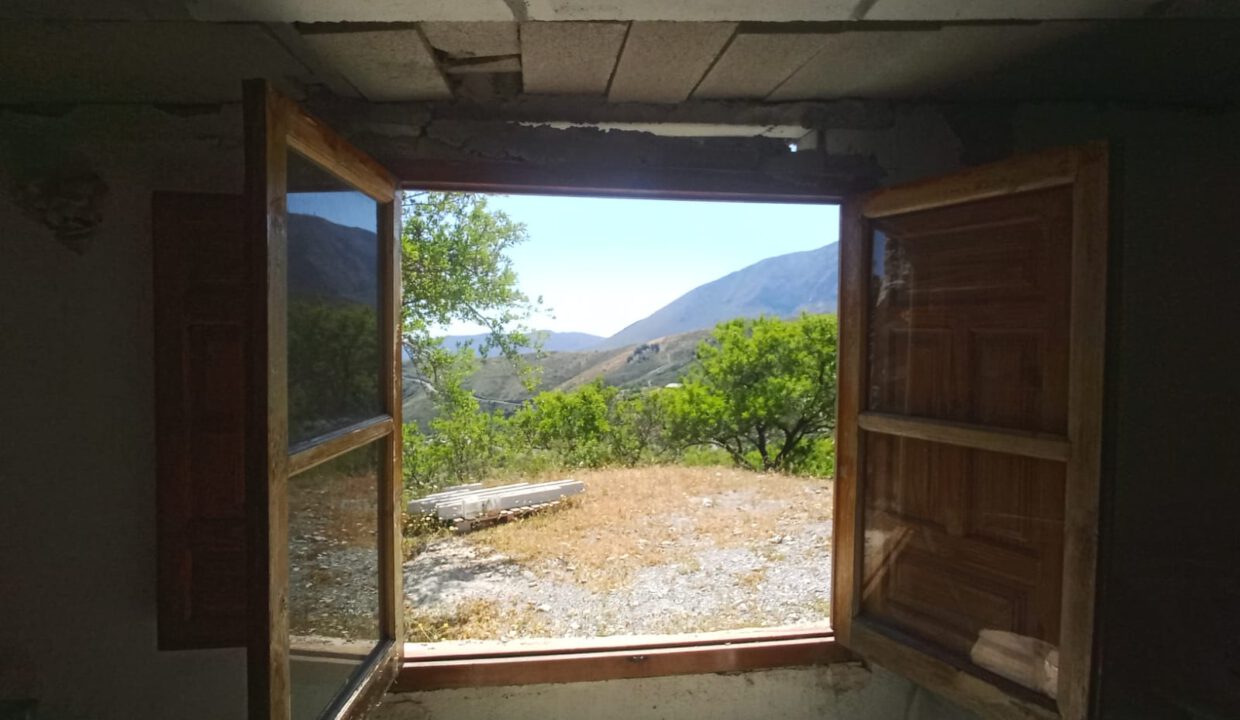 IMG-20250615-WA0010
