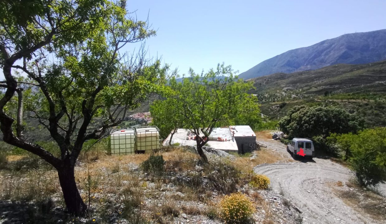 IMG-20250615-WA0012