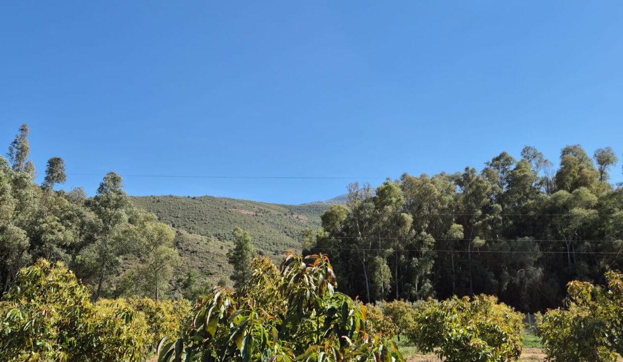 IMG-20250909-WA0053