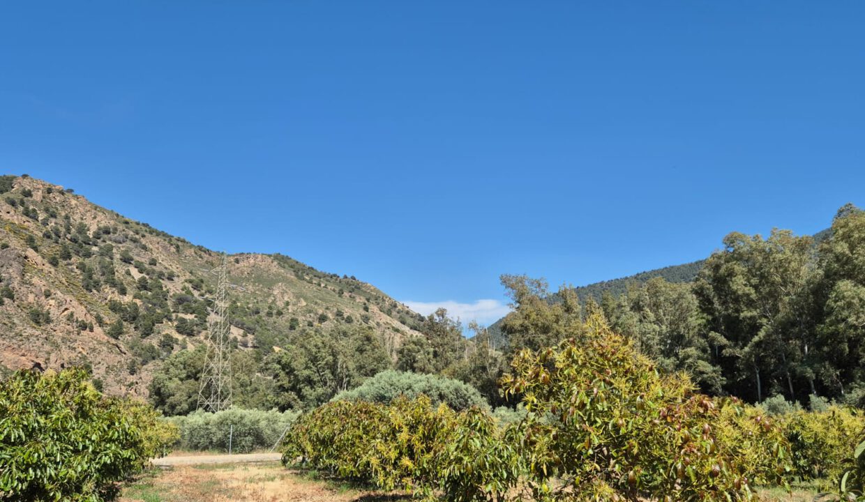 IMG-20250909-WA0054
