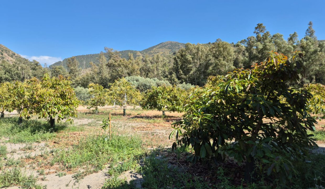 IMG-20250909-WA0061
