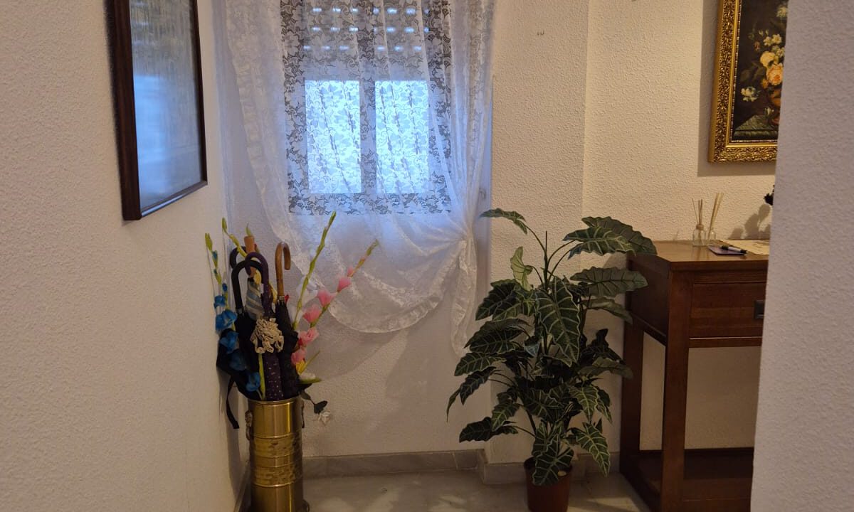 IMG-20250909-WA0081